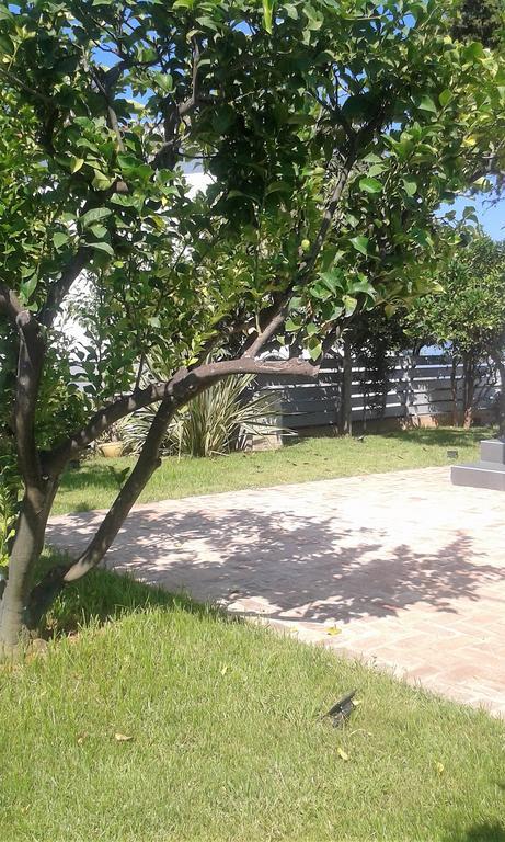 Villa Titi Kamínia Exterior foto