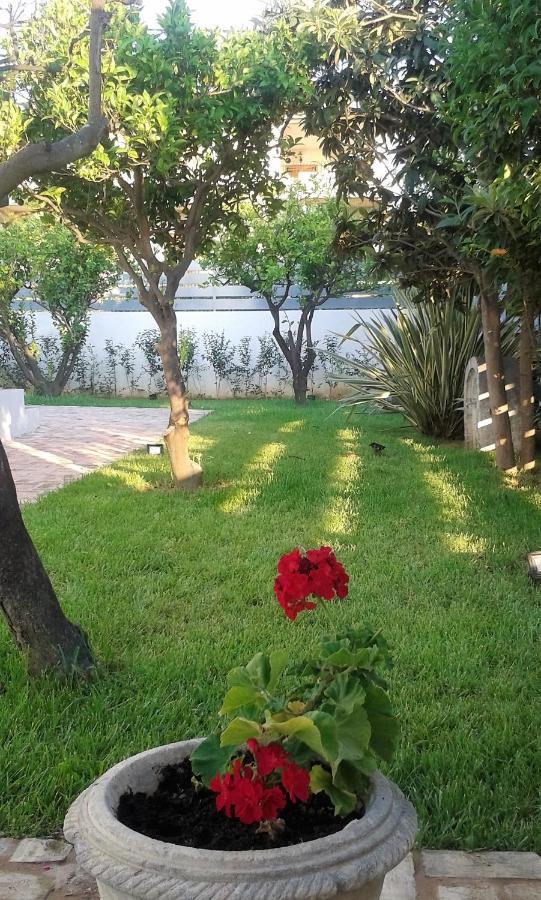 Villa Titi Kamínia Exterior foto